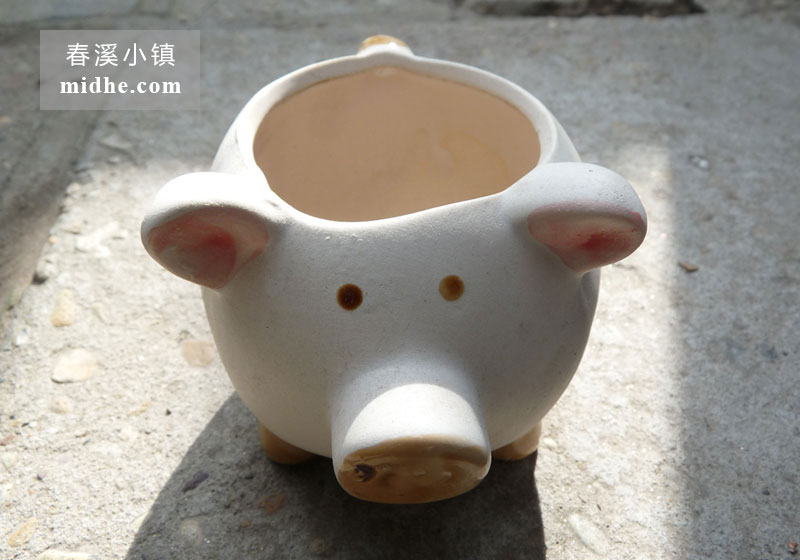 小猪陶土盆-春溪小镇