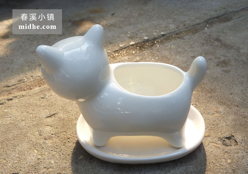 小狗花盆-春溪小镇